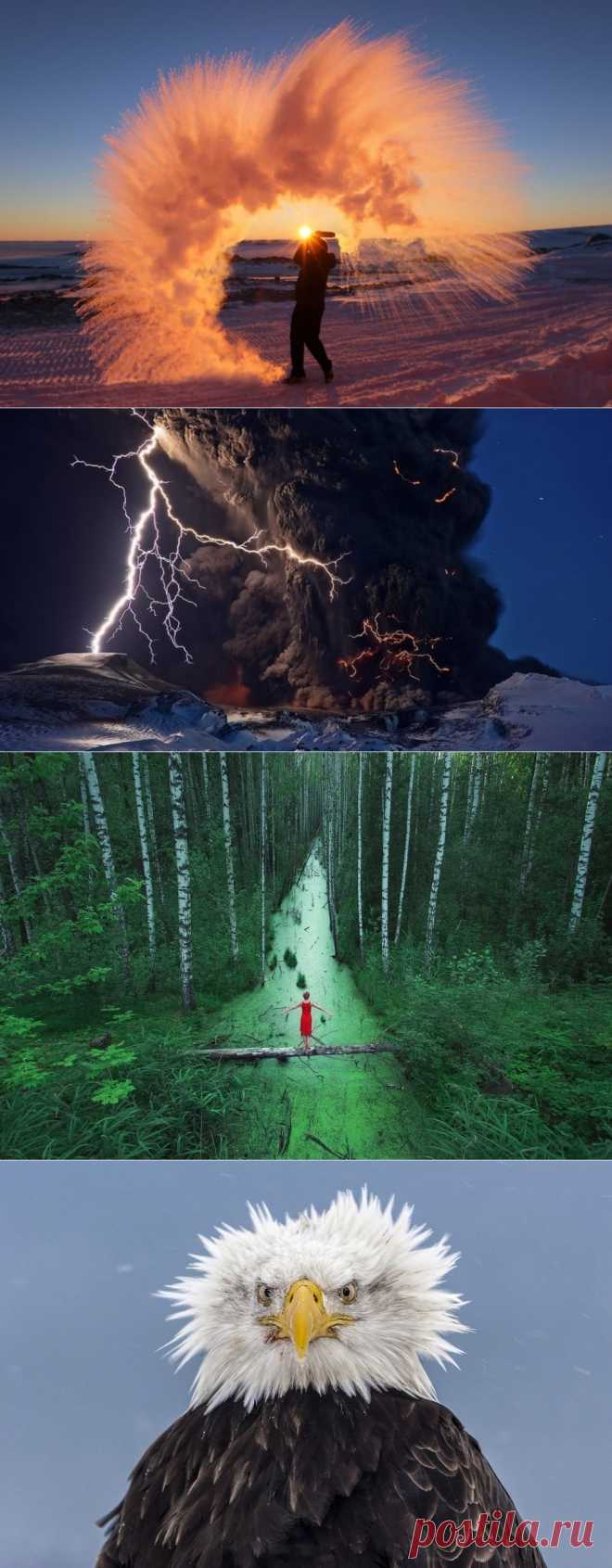 100 лучших фото без фотошопа