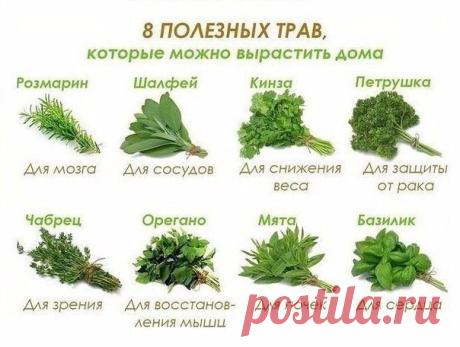 Легко и полезно!