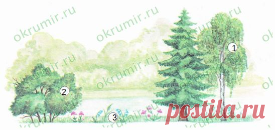 Природные сообщества - Ответы Виноградова 2 класс 2 часть
