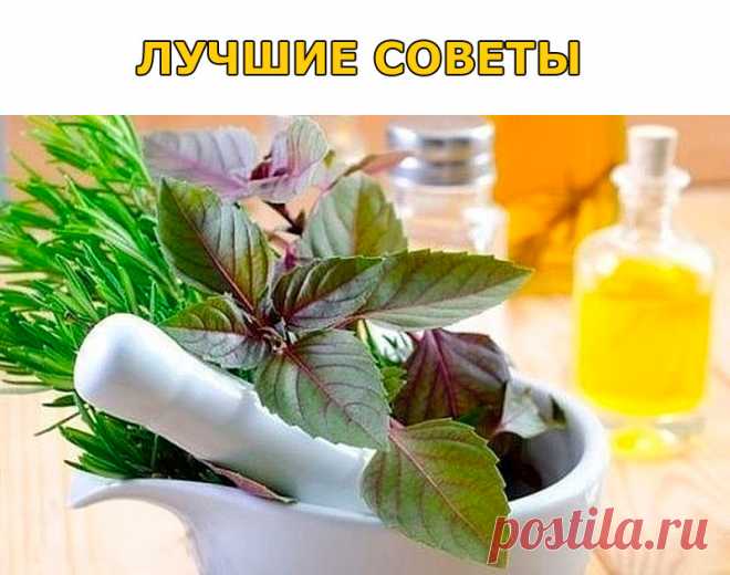 (46) Одноклассники