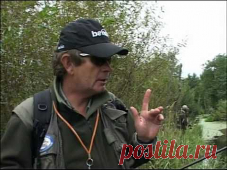 Щука в крепких зарослях.