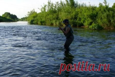 Спиннинговая снасть для ловли голавля / Богатая добыча