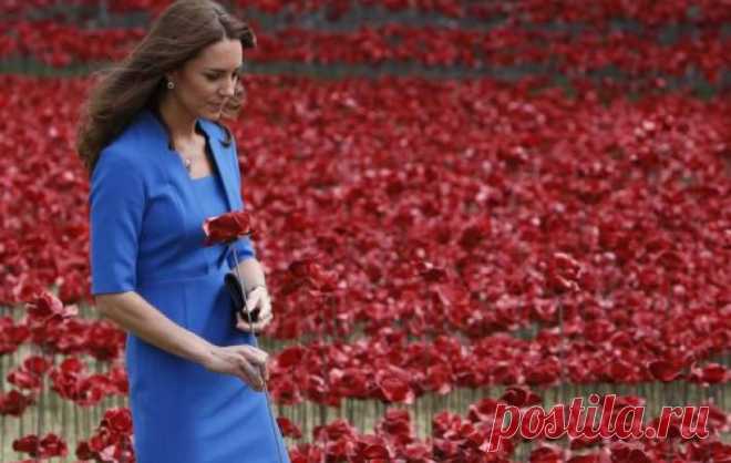 Герцогиня Кэтрин