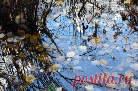 ФОТОМАСТЕРСКАЯ ПРИРОДЫ
ЛЮДА СУСЕКОВА(ПОЛОМОШНОВА)