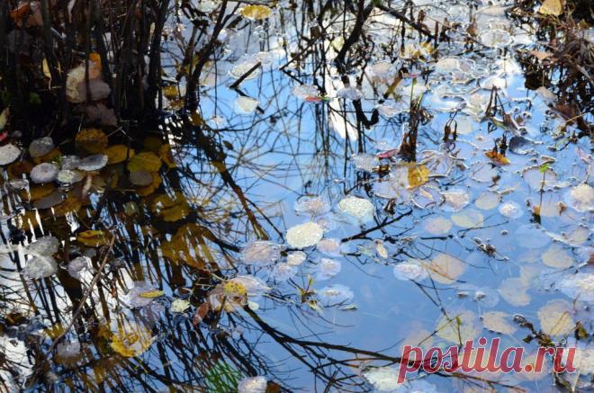 ФОТОМАСТЕРСКАЯ ПРИРОДЫ
ЛЮДА СУСЕКОВА(ПОЛОМОШНОВА)