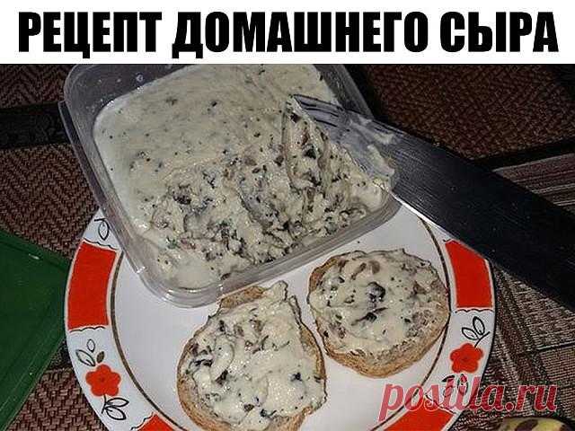 Рецепт домашнего сыра (хохланд отдыхает!) Ингредиенты: - 250 гр творога (лучше домашнего), - 2 ст л сметаны (тоже домашней), - 1 яйцо, - 0,5 ч л соли, - сода на кончике ножа. Приготовление: 1.