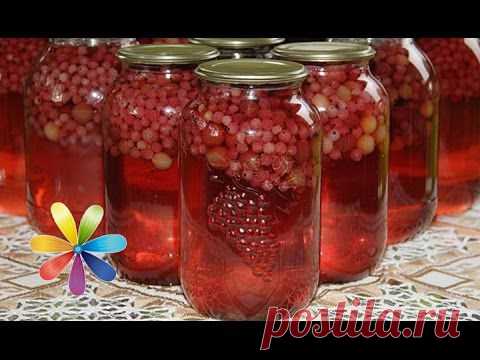 Маринованный виноград за копейки - Рецепт от Все буде добре - Выпуск 463 - 17.09.2014 — Яндекс.Видео