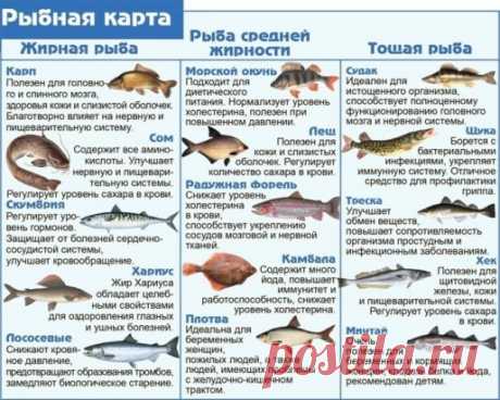 Рыбная карта, сохраняйте к себе в закладки, пригодится!