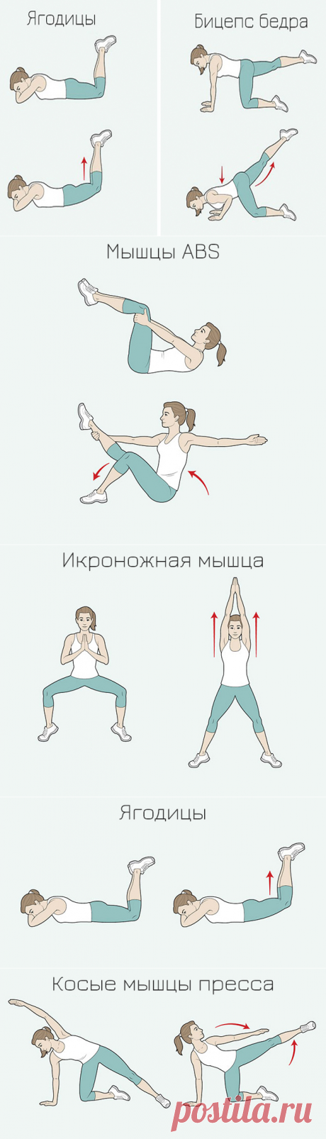 Максимально эффективные упражнения для каждой части тела. Результат меньше чем через месяц!