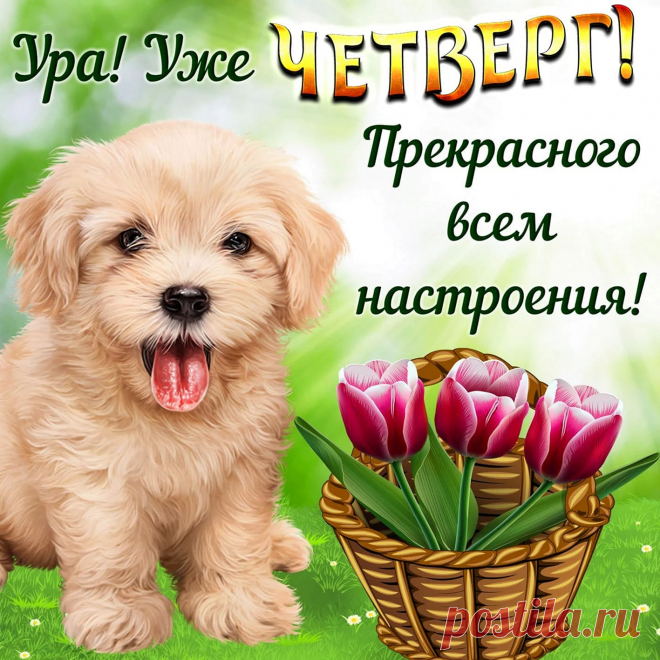 С четвергом я поздравляю,
До конца совсем чуть-чуть,
Ведь два дня еще осталось
До субботы протянуть.