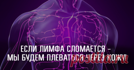 Оказывается, мы практически ничего не знаем о лимфатической системе! Предлагаем вам интересную статью о работе лимфатической системы, о что необходимо предпринять, чтобы она безупречно функционировала!