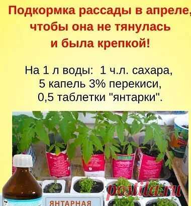 На заметку. Сохраняй себе!