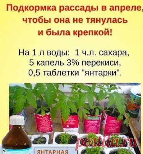 На заметку. Сохраняй себе!