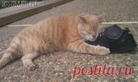 Это мой туфля!