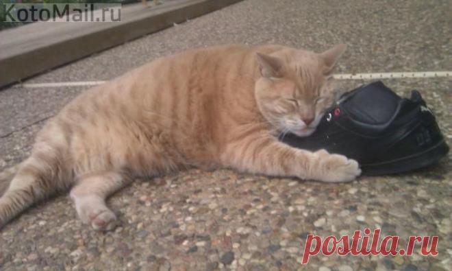 Это мой туфля!