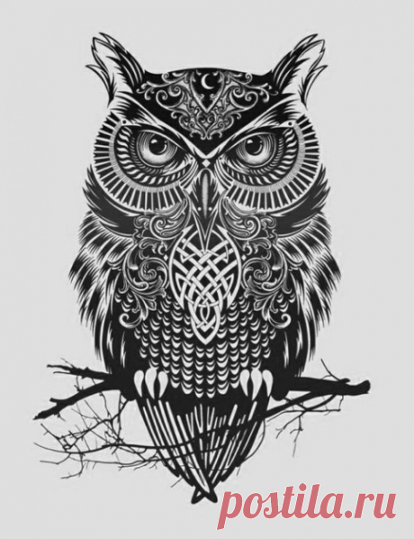 Significado da tatuagem de coruja e 160 exemplos de tattoos | Tinta na Pele