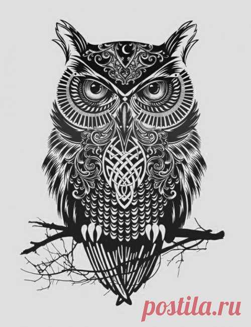 Significado da tatuagem de coruja e 160 exemplos de tattoos | Tinta na Pele
