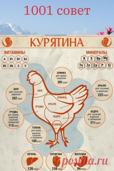 Курятина