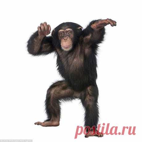 На белом фоне.......