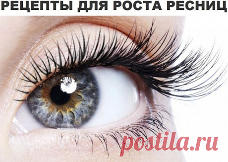 Растим и загущаем реснички