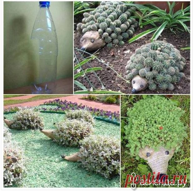 Сделайте ежа для своего сада используя пластмассовые бутылки: Группа Обустройство и украшение дачного участка