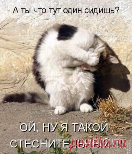 Таша.: Хочу в Финляндию!!!