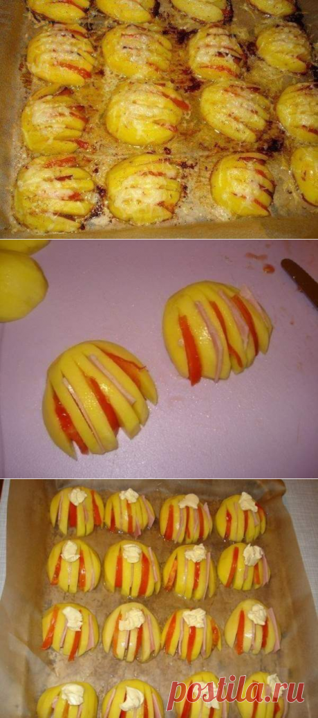 Картофельные ракушки - Простые рецепты Овкусе.ру