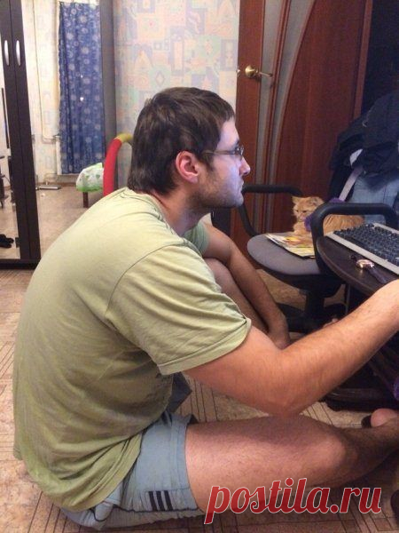 Наглость - второе счастье / Питомцы