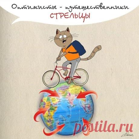 SIGNO GATITARIO