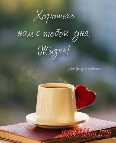 ~🌿~Запомни: Жизнь — большое море....