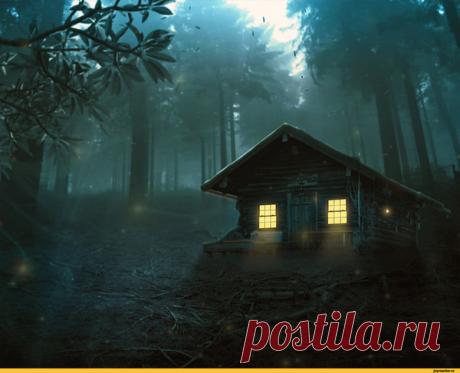 Изба в лесу – С Кысонькой о разном, пользователь Добрый Волк Волкович | Группы Мой Мир