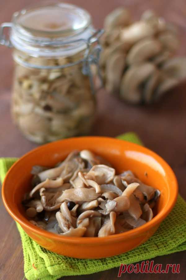 Вешенки маринованные - На этой кухне многие ели. Некоторые до сих пор живы