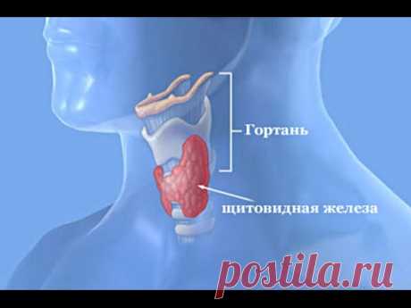 Лечение зоба щитовидной железы у женщин | Метод доктора Божьева