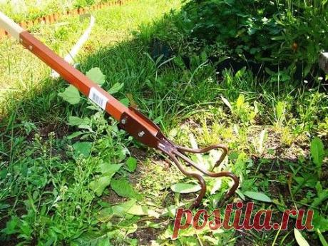 БОРЬБА С СОРНЯКАМИ «ПО УМНОМУ»