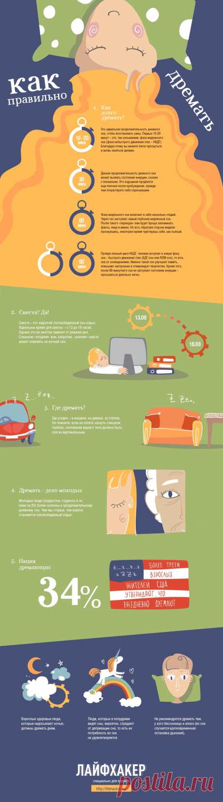 napping-01.png (950×3408)