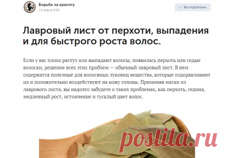 Лавровый лист от перхоти, выпадения и для быстрого роста волос.