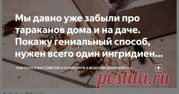Мы давно уже забыли про тараканов дома и на даче. Покажу гениальный способ, нужен всего один ингридиент и вода Статья автора «1500  полезных советов и лайфхаков в ведении домашнего хозяйства» в Дзене ✍: От тараканов мы избавились давно, но до сих помню эту неприятное чувство брезгливости, когда видела их на...