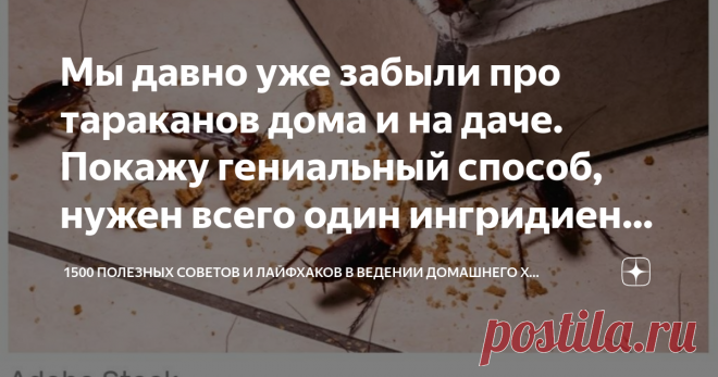 Мы давно уже забыли про тараканов дома и на даче. Покажу гениальный способ, нужен всего один ингридиент и вода Статья автора «1500  полезных советов и лайфхаков в ведении домашнего хозяйства» в Дзене ✍: От тараканов мы избавились давно, но до сих помню эту неприятное чувство брезгливости, когда видела их на...
