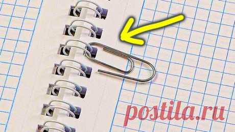 Жизнь научила! Советы и хитрости умных женщин | Рецепты здорового питания | Дзен