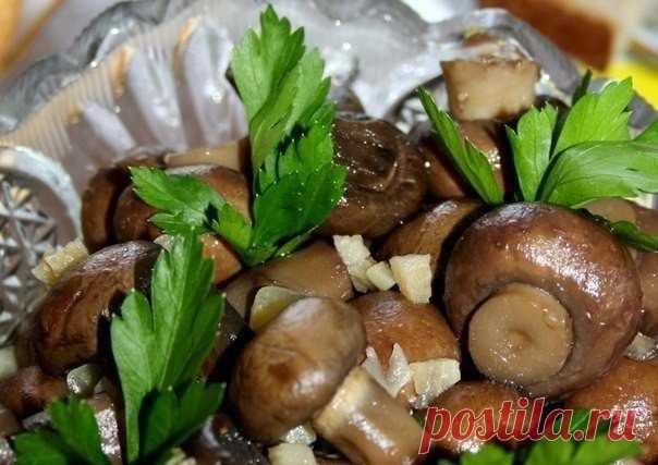 Маринованные шампиньоны для любого повода - быстро и вкусно!   >>>>>>>