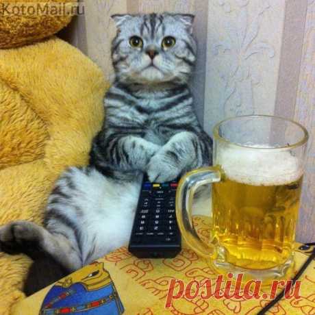 А футбол на каком канале?
