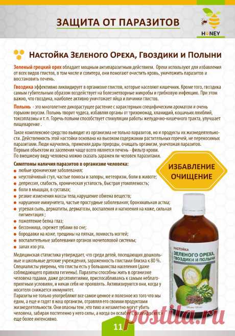 Настойка зеленого ореха, гвоздики и полыни от паразитов
