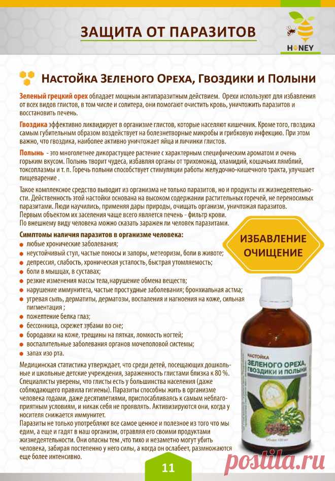 Настойка зеленого ореха, гвоздики и полыни от паразитов