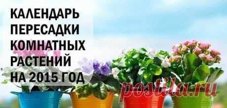 Календарь пересадки цветов в 2015 году