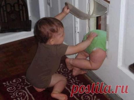 Растить  — это очень весело | Позитив в картинках и не только