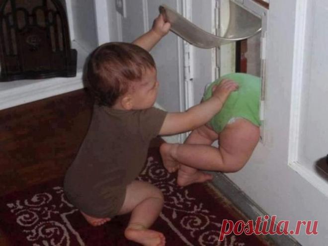 Растить  — это очень весело | Позитив в картинках и не только