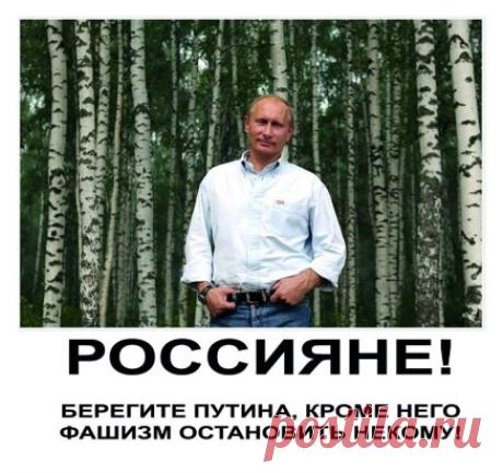 Диалоги