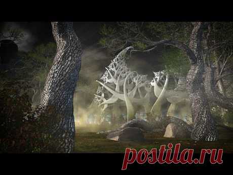 Lichtmond - Magic Forest HD - YouTube