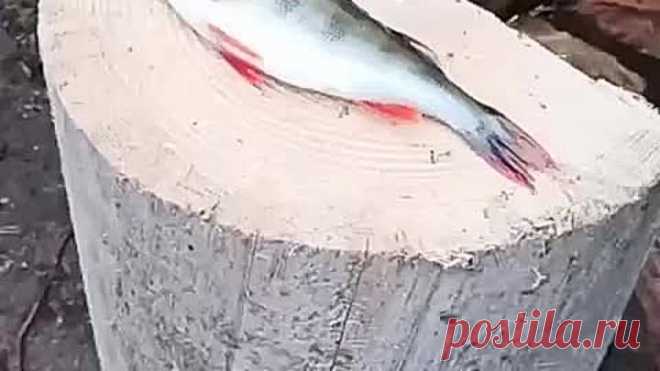 Рыбочистка