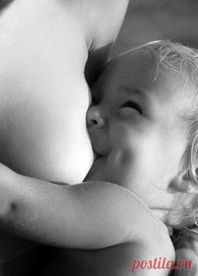 Фотографии, которые «целятся» в самое сердце